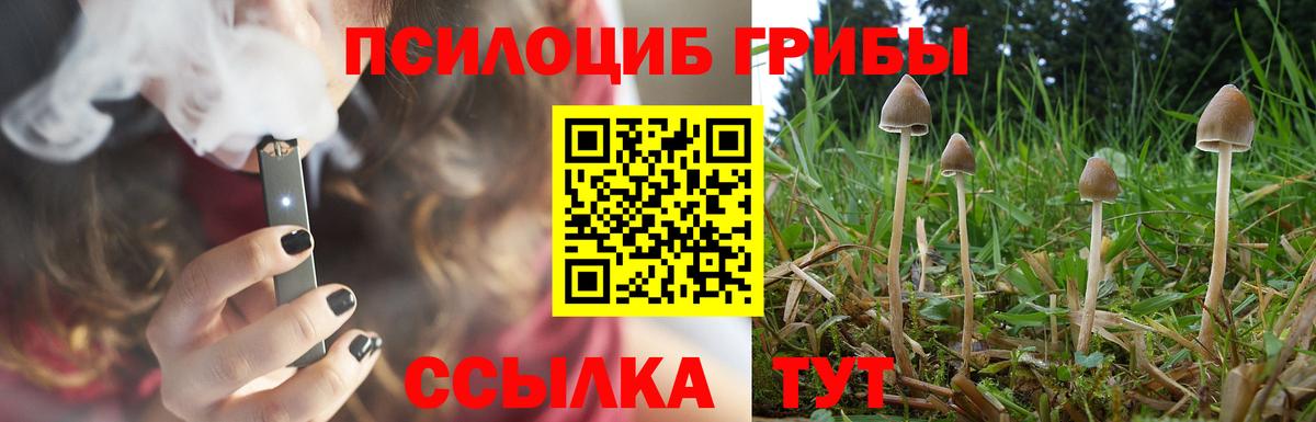 Псилоцибиновые грибы Magic Shrooms Верхняя Пышма